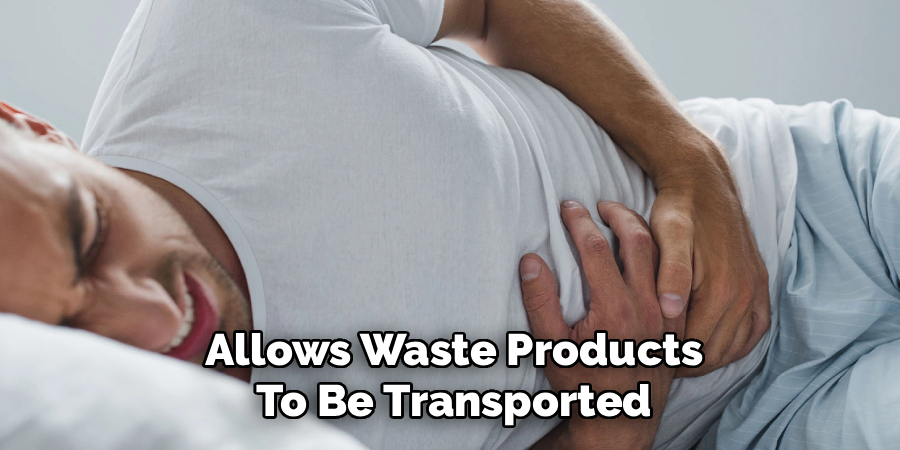 Allows Waste Products
To Be Transported