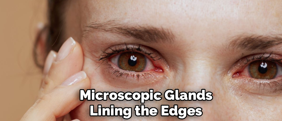 Microscopic Glands
Lining the Edges