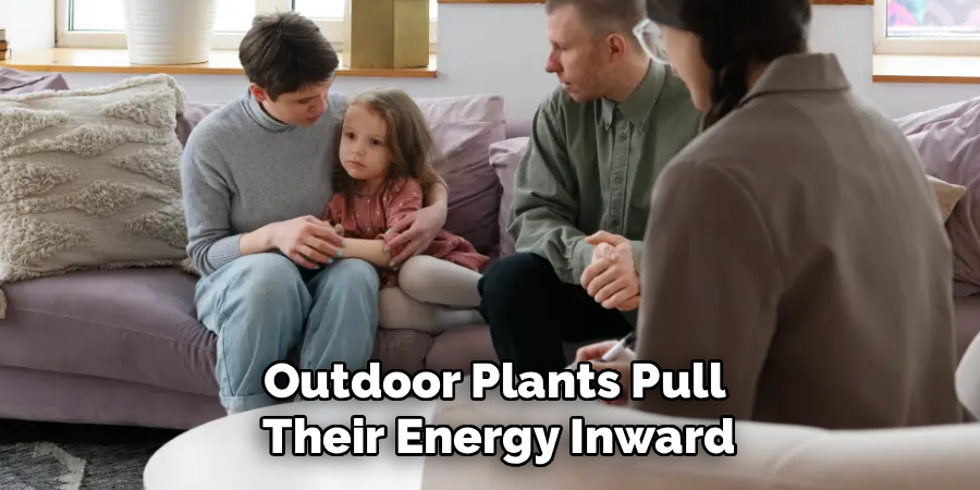 Outdoor Plants Pull
Their Energy Inward