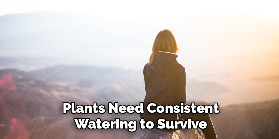 Plants Need Consistent
Watering to Survive