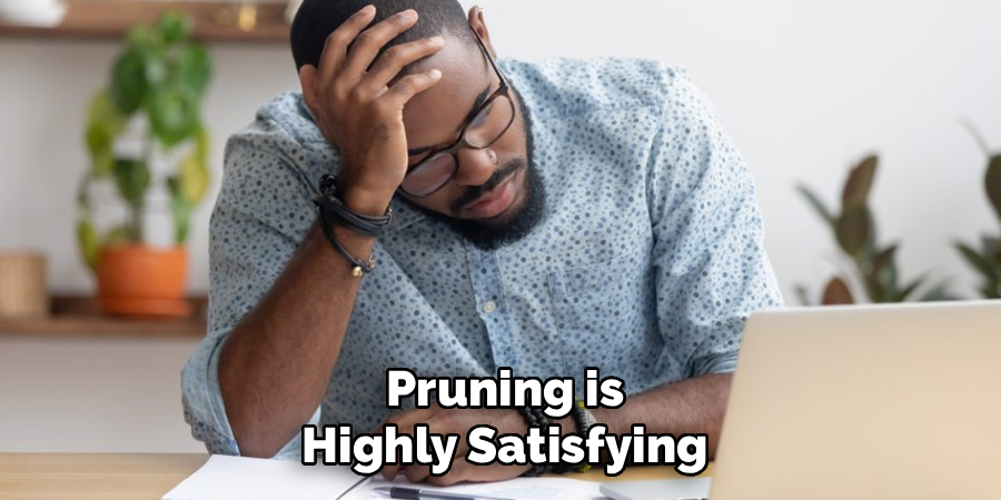 Pruning is
Highly Satisfying