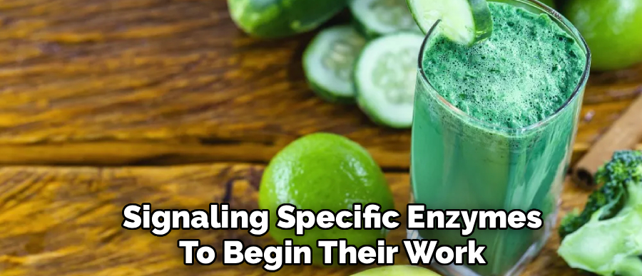 Signaling Specific Enzymes
To Begin Their Work