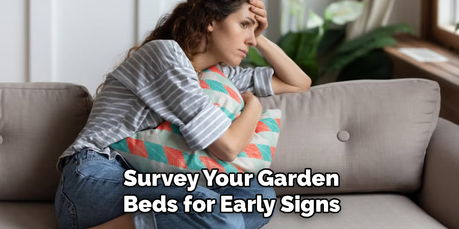 Survey Your Garden
Beds for Early Signs