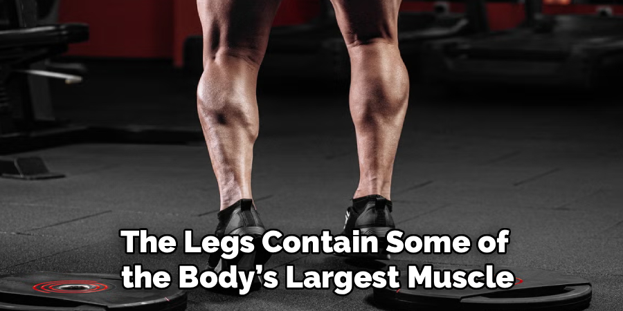 The Legs Contain Some of
the Body’s Largest Muscle