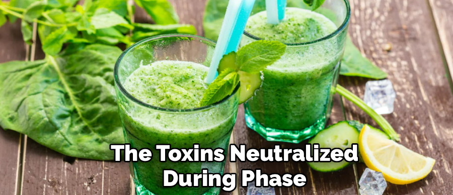 The Toxins Neutralized
During Phase