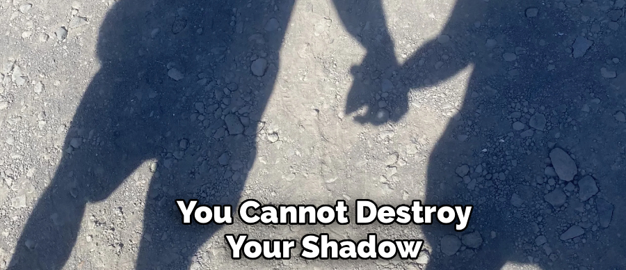 You Cannot Destroy
Your Shadow
